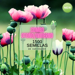 Combo 1500 semillas florales OTOÑO/INVIERNO