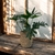 Combo Philodendron Misionero + Porta maceta Seagrass Porto