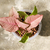 Syngonium podophyllum Pink - comprar online