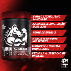 Bcaa Aminoacid 8:1:1 - 300g - Vitamin Horse - comprar online