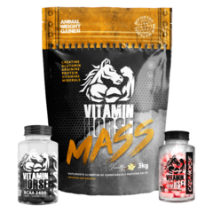 Combo Ganho de Massa - Massa + Bcaa + Creatina - comprar online