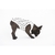 Remera Pet Hueso - comprar online