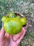 Semillas de Tomate Green Zebra