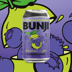 Caja de 12 latas de Kombucha - 3 de cada gusto - comprar online