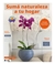 Maceta Floridis Florencia 27×24 Cm Polietileno 15 Litros - comprar online