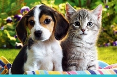 Banner da categoria Linha Pet