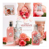 KIT VERTIENTE - EST CRISTAL ROSEWATER (GEL HIDRX285+JABX100)