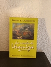 La novela de Urquiza (usado) - Daniel E. Larriqueta