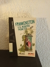Frankenstein (usado) - Mary Shelley