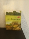 Los Bosques (usado) - Biblioteca Escolar