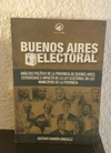 Buenos Aires electoral (usado) - Gustavo Damián Gonzalez