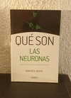 Qué son las neuronas (usado) - Osvaldo D. Uchitel