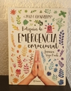 Botiquín de emergencia emocional (usado) - Jessica Vega Puch