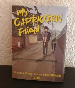 My capricorn friend (usado) - Otsuichi/Miyokawa
