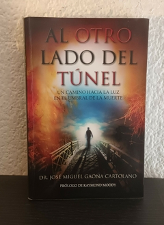 Al otro lado del túnel (usado) - José Miguel Gaona Cartolano