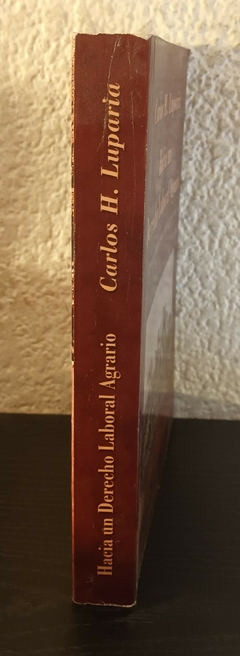 Hacia un Derecho Laboral Agrario (usado) - Carlos H. Luparia - comprar online