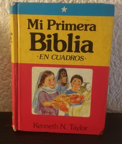 Mi primera Biblia en cuadros (usado, algunos detalles en canto y hojas con birome) - Kenneth N. Taylor