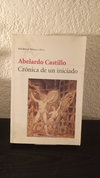 Crónica de un iniciado (usado algunas firmas tipo iniciales en algunos capítulos) - Abelardo Castillo