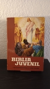 Biblia Juvenil (usado) - Abilio Ruiz de Valdivieso