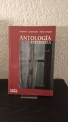 Antología Literaria (usado) - Silvana Daszuk