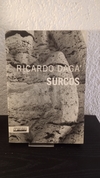Surcos (usado) - Ricardo Daga