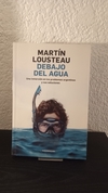 Debajo del agua (usado) - Martín Lousteau