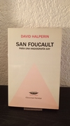 San foucault (usado) - David Halperin