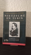 Nietzsche en Turín (usado) - Lesley Chamberlain