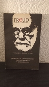 Freud Obras completas 2 (usado) - Freud
