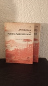 Antología de poetas napolitanos (2 tomos, usado) - D. Petriella
