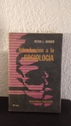 Intruducción a la Sociología (usado, nombre anterior dueño tachado) - Peter L. Berger