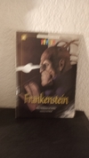 Frankenstein genios 4 (usado) - Mary Shelley