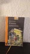 El tesoro subterráneo (usado) - Mario Mendez