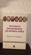Historias encadenadas de Buenos Aires (2013, usado) - Diego M. Zigiotto