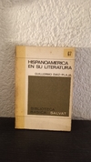 Hispanoamerica en su literatura 67 (usado) - G. Diaz - Plaja