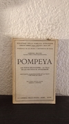 Pompeya (usado, tapa un poco despegada) - Amedeo Maiuri