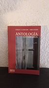 Lengua y literatura para pensar (usado) - Antologia