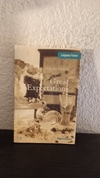 Great Expectations (usado) - Charles Dickens