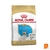 Alimento Royal Canin Perro Bulldog Frances Cachorro