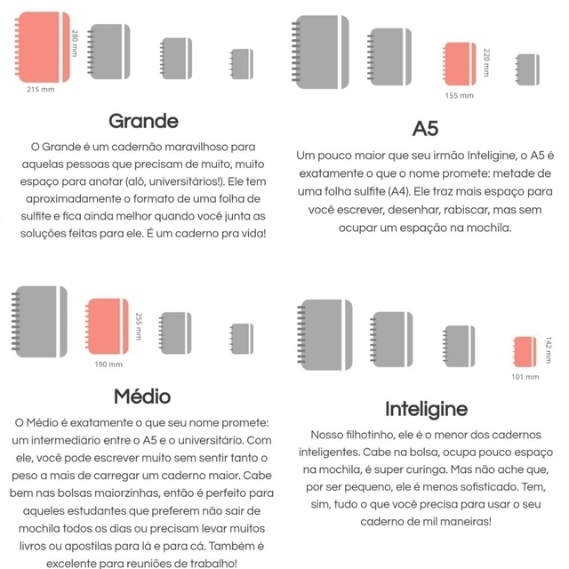 CADERNO INTELIGENTE BY LULUCA LULIKE 80 FOLHAS - PAPELARIA GRAFITTE -  Papelaria Grafitte