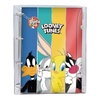 Caderno Argolado Looney Tunes DAC