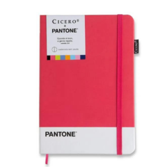 Caderneta Pantone - Rosa - 14x21 sem pauta