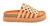 Sandalia faja con tachas (SEVILLA CC) - tienda online