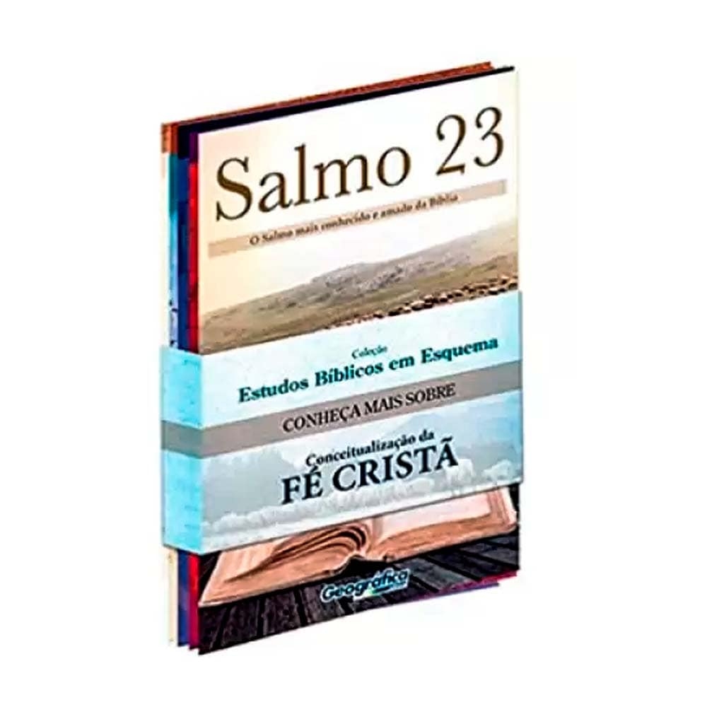 Livro O Salmo 23 e os Segredos Para o Sucesso - Livros de