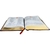 biblia-de-estudo-naa-preta-int-37412-min
