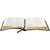 biblia-sagrada-com-harpa-crista-sbb-detalhe1-40101-min