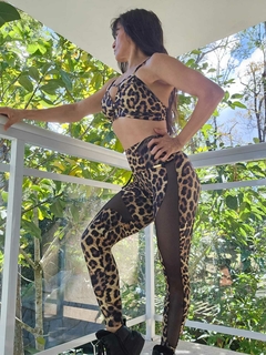 CONJUNTO LEGGIN EMPINA BUMBUM PELAGEM DE ONÇA COM TELA EXCLUSIVA on internet