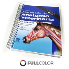ASHDOWN Atlas anatomia veterinaria El Caballo 2 Ed