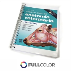 ASHDOWN Atlas anatomia veterinaria Rumiantes 2 Ed