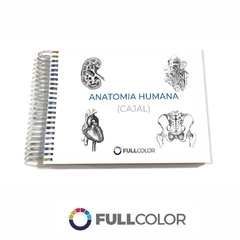 CAJAL Anatomia humana